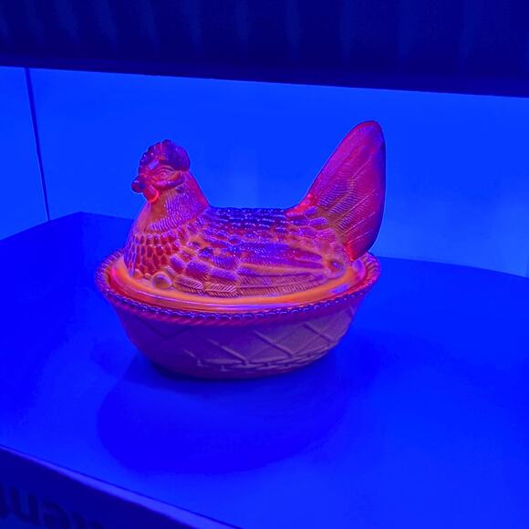 Red Amberina Hen on Nest *Glows* - Picture 3 of 5